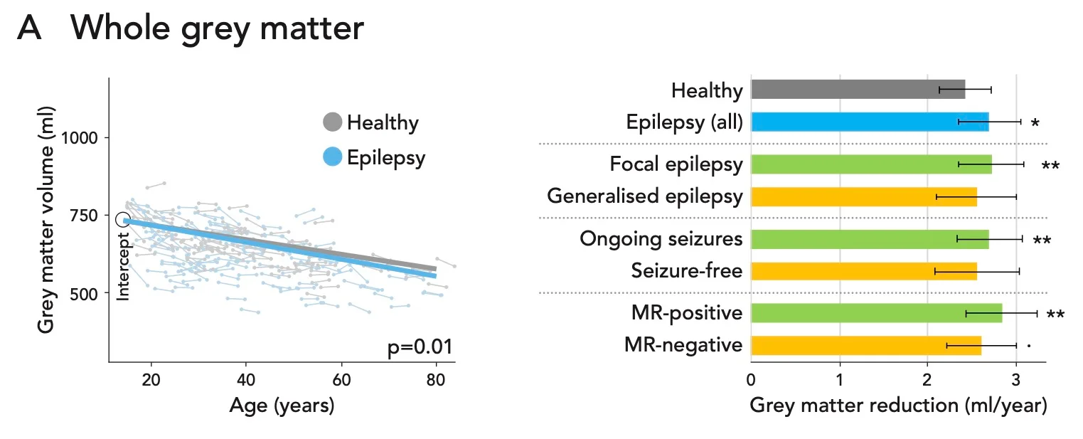 New paper accepted in Annals of Neurology: does epilepsy accelerate brain atrophy?